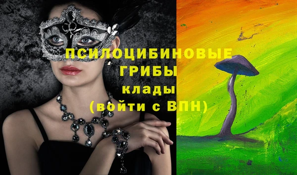 гидропоника Верея