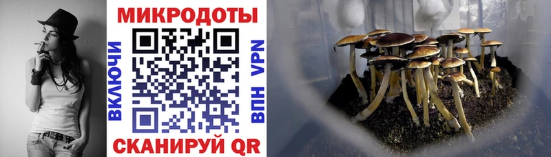 Галлюциногенные грибы мицелий  Купить  Мамоново 